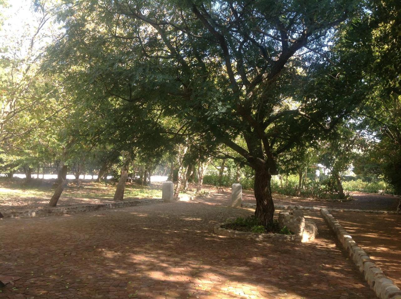 Little Willow Brooke Franschhoek Ngoại thất bức ảnh
