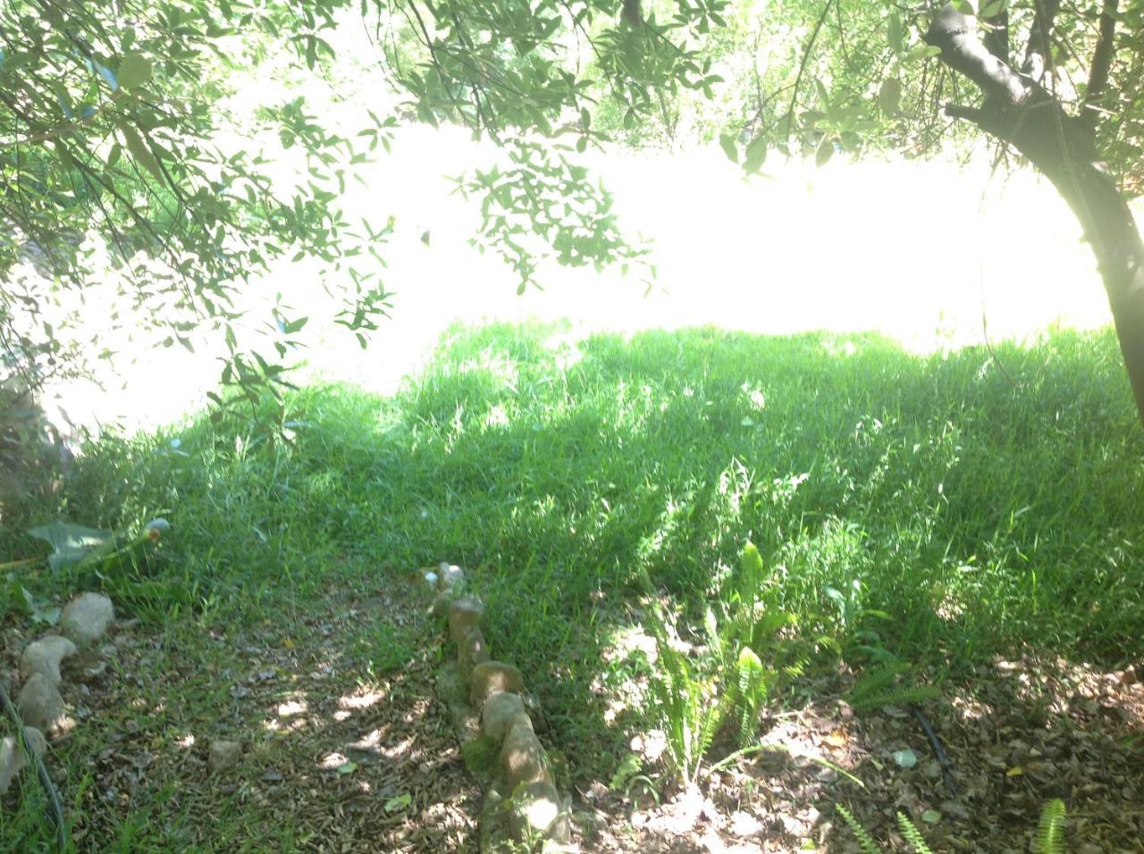 Little Willow Brooke Franschhoek Ngoại thất bức ảnh