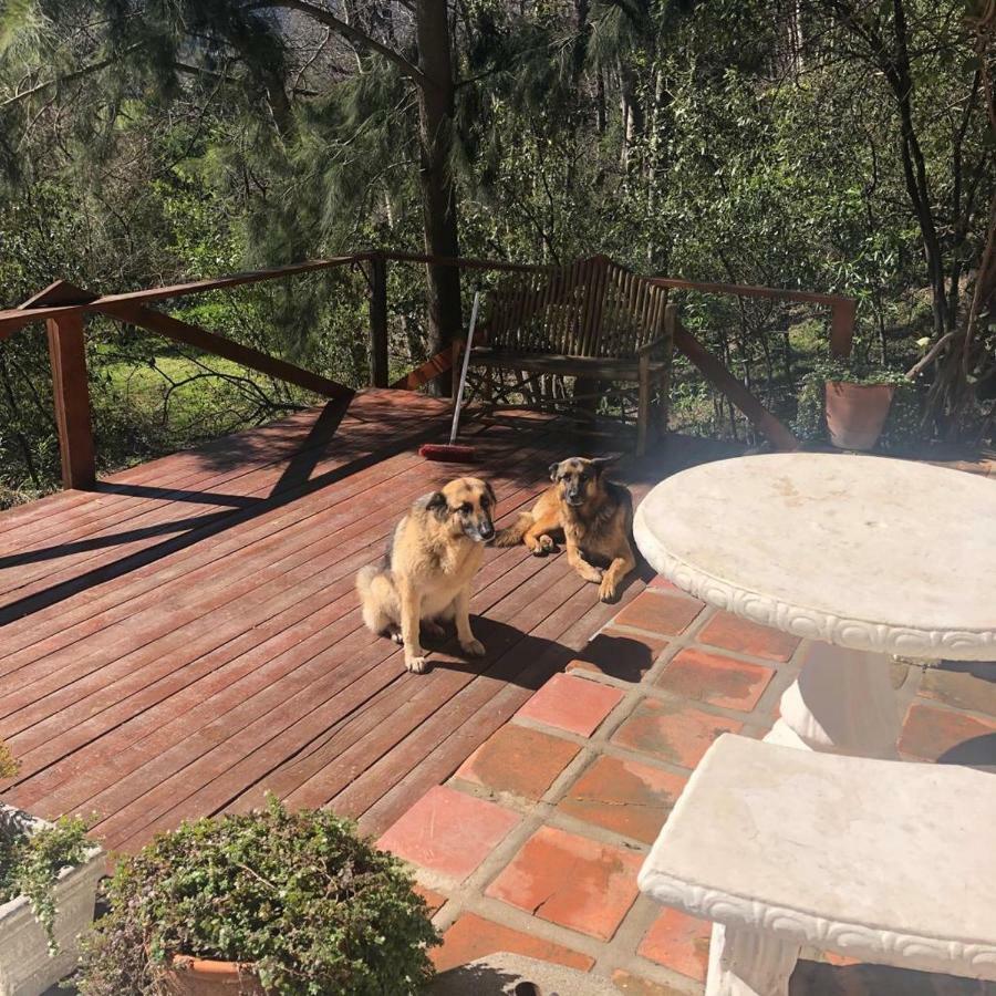 Little Willow Brooke Franschhoek Ngoại thất bức ảnh